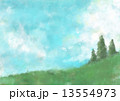 木のある丘の風景 13554973