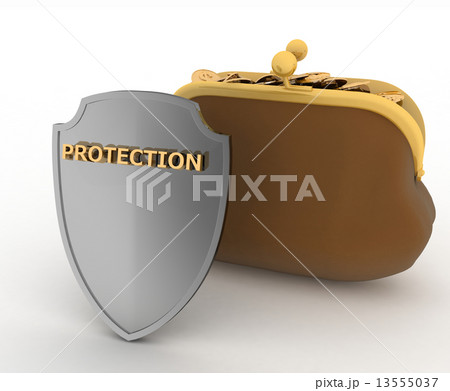 Purse full of money and Shield. Concept of saving money 13555037