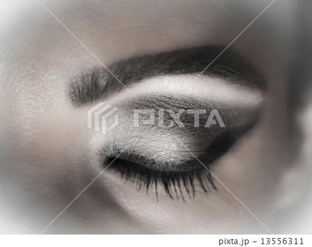 Eye makeup in shades of gray  13556311