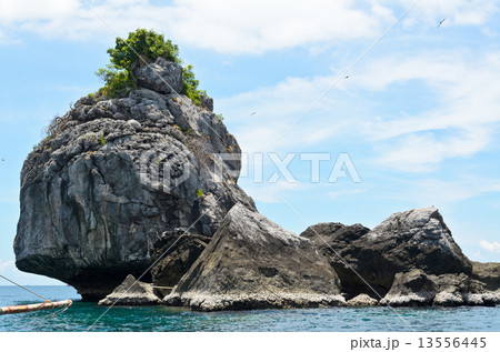 Small Island in the sea for diving 13556445