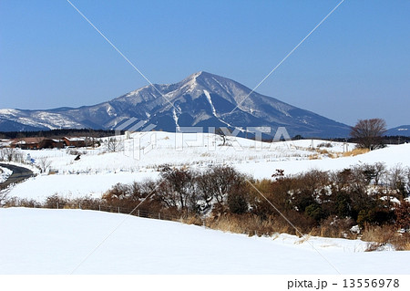 雪原と冬の由布岳 13556978