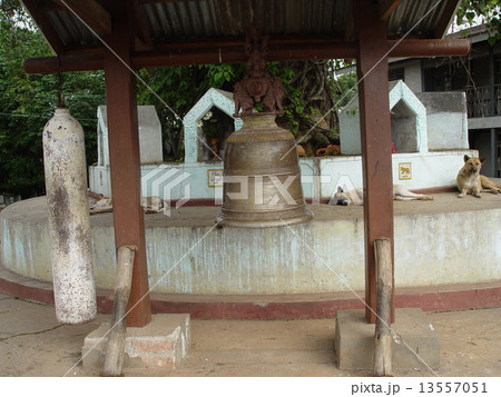 祠で眠る野良犬(カロー/ミャンマー) 祠で眠る野良犬(カロー/ミャンマー) 13557051