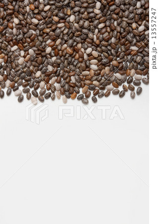 チアシード 13557247