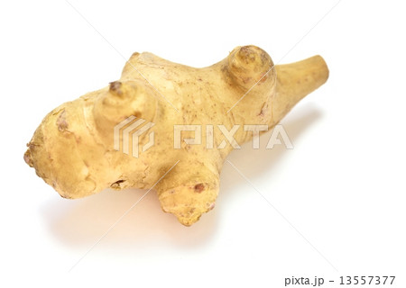 キクイモ(菊芋、きくいも) キクイモ(菊芋、きくいも) 13557377
