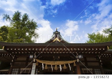 出水神社注連縄と屋根 13558272