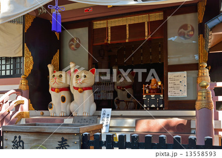 浅草散歩・招き猫 今戸神社 浅草散歩・招き猫 今戸神社 13558593