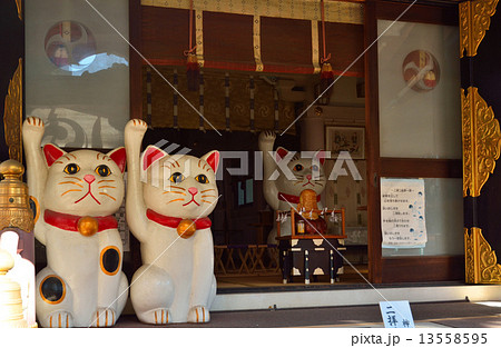 浅草散歩・招き猫　今戸神社 13558595