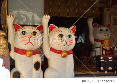 浅草散歩・招き猫 今戸神社 浅草散歩・招き猫 今戸神社 13558597