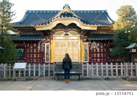 上野東照宮 13558701