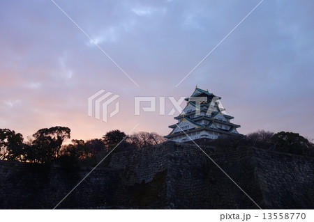 冬の朝の大阪城 13558770