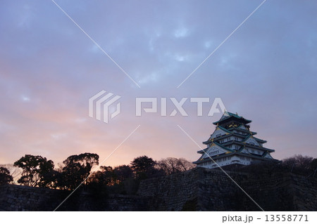 冬の朝の大阪城 13558771