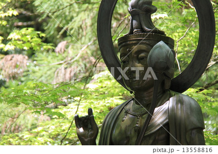 金剛峯寺 金剛峯寺 13558816