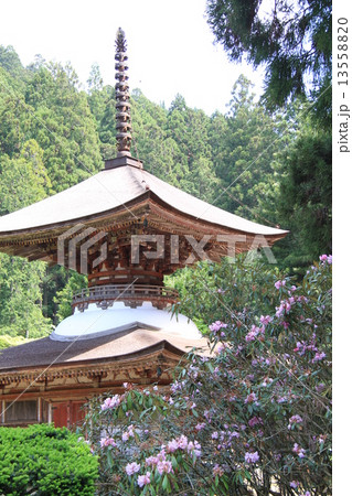 金剛三昧院 13558820