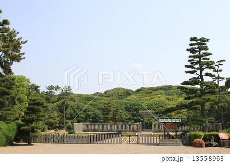 仁徳天皇陵 仁徳天皇陵 13558963