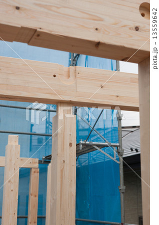 木造住宅の上棟 木造住宅の上棟 13559642