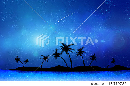 リゾート地の夜 リゾート地の夜 13559782