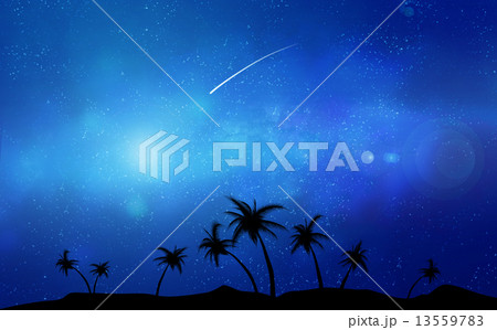 リゾート地の夜 13559783
