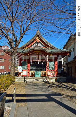 浅草散歩・浅間神社 浅草散歩・浅間神社 13559891