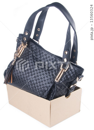 bag. women bag on a background 13560324