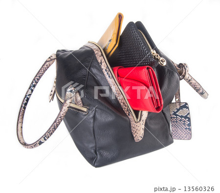 bag. women bag on a background bag. women bag on a background 13560326