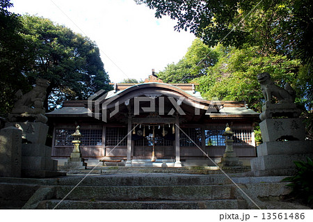 北九州の綿津見神社 13561486