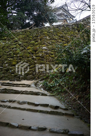 彦根城 / Hikone castle 13563019