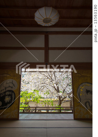 庭園 庭園 13563190