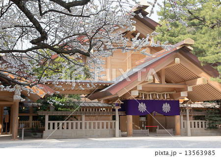 満開の梅と熱田神宮 満開の梅と熱田神宮 13563985