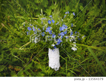 blue bouquet lies on the green grass 13564379