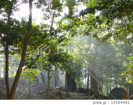 光が差し込む風景 光が差し込む風景 13564491