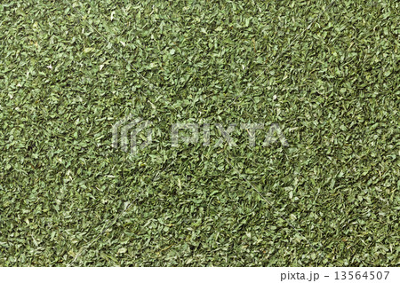 パセリ パセリ 13564507