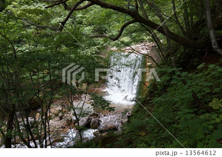 米子大瀑布界隈（米子川の小滝） 13564612