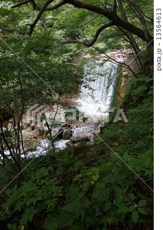 米子大瀑布界隈（米子川の小滝） 13564613