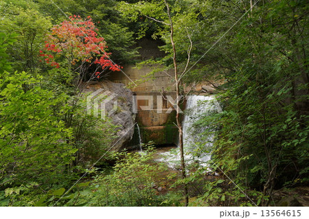 米子大瀑布界隈（米子川の小滝） 13564615