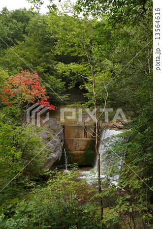 米子大瀑布界隈(米子川の小滝) 米子大瀑布界隈(米子川の小滝) 13564616