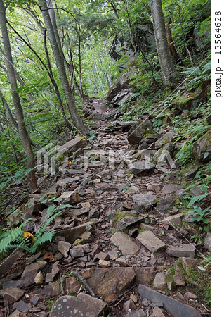 米子大瀑布界隈（修験者修行の古道） 13564628