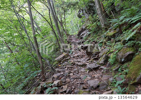 米子大瀑布界隈(修験者修行の古道) 米子大瀑布界隈(修験者修行の古道) 13564629