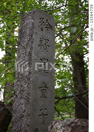 米子大瀑布奥の院界隈 米子大瀑布奥の院界隈 13564739