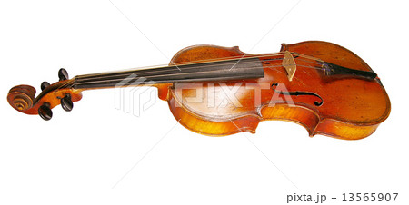 The violin The violin 13565907