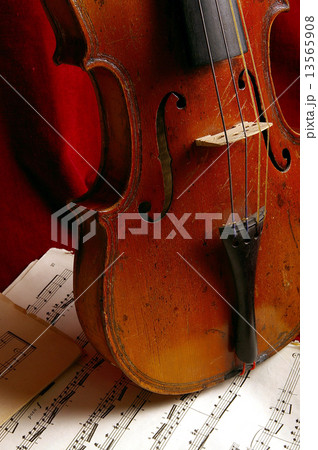 The violin The violin 13565908