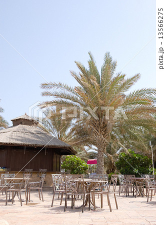 Bar at hotel near swimming pool, Sharjah, UAE 13566275