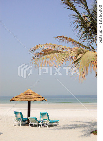 Beach of luxury hotel, Ajman, UAE 13566300
