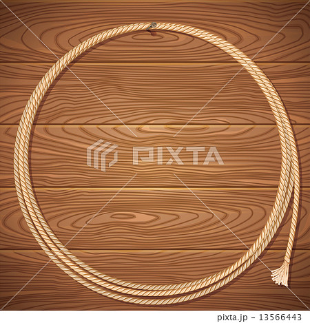 Rope lasso on wood background 13566443