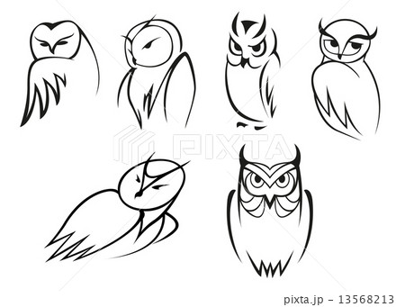 Owl bird icons in doodle sketch outline style 13568213