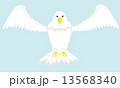 eagle 13568340