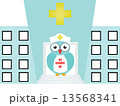 nurse owl 13568341