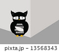 thief owl 13568343