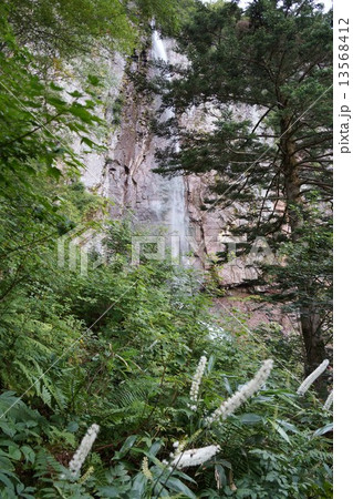 米子大瀑布界隈（不動滝） 13568412