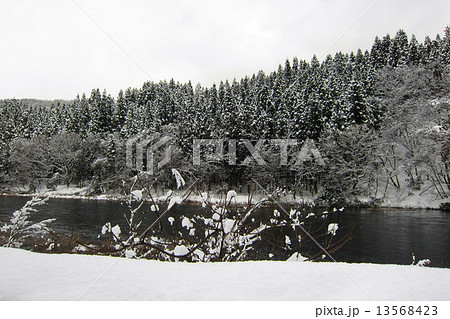 三面川冬景色 三面川冬景色 13568423