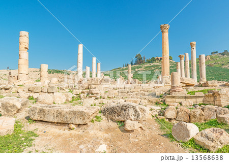 タバカット・ファハル(ヨルダン、イルビッド西) 13568638